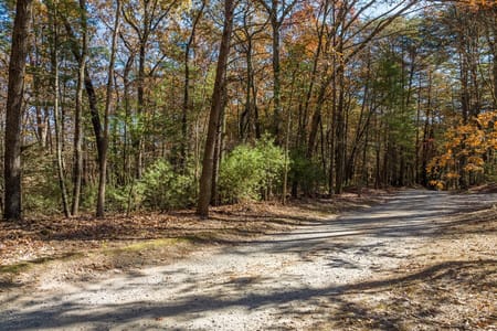 Ellijay, GA 30536 Gilmer County