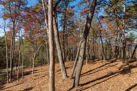 Ellijay, GA 30536 Gilmer County