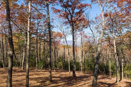 Ellijay, GA 30536 Gilmer County