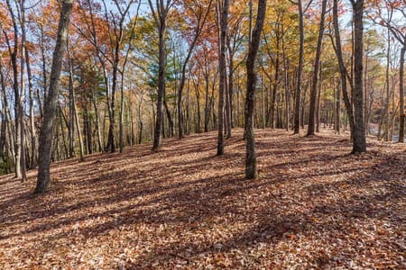 Ellijay, GA 30536 Gilmer County