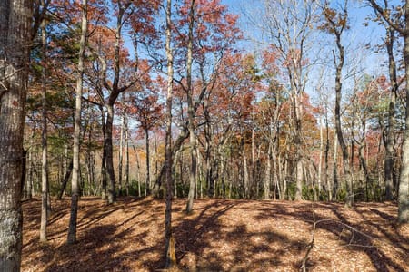 Ellijay, GA 30536 Gilmer County