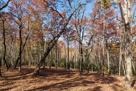 Ellijay, GA 30536 Gilmer County