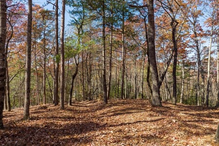 Ellijay, GA 30536 Gilmer County