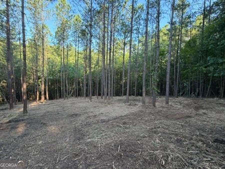 Dallas, GA 30132 Paulding County