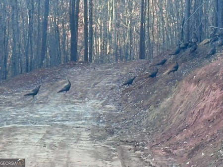 Dallas, GA 30132 Paulding County