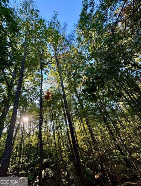Dallas, GA 30132 Paulding County
