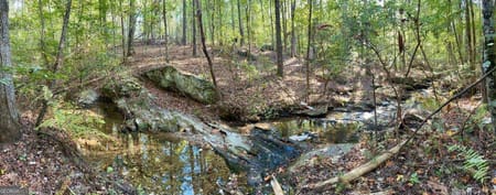Dallas, GA 30132 Paulding County