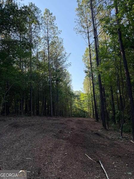 Dallas, GA 30132 Paulding County