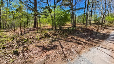 Greenville, GA 30222 Meriwether County