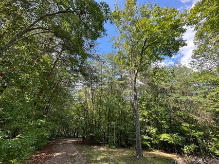 Cleveland, GA 30528 White County