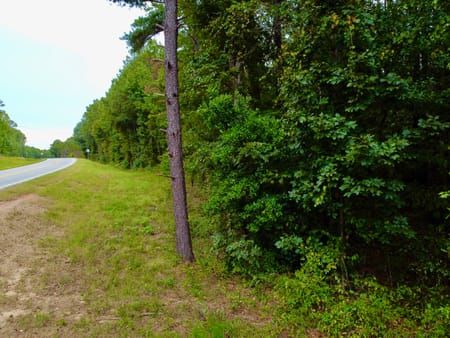 Covington, GA 30016 Newton County