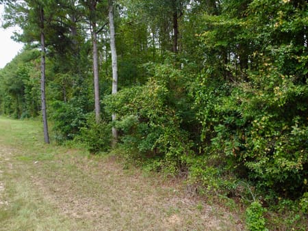 Covington, GA 30016 Newton County