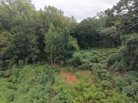 Commerce, GA 30529 Jackson County