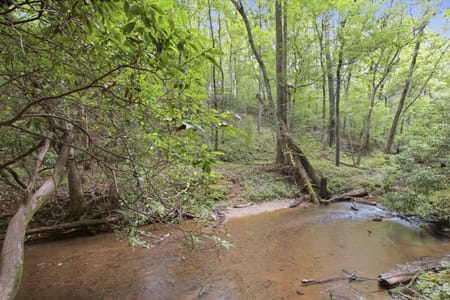 Cleveland, GA 30528 White County