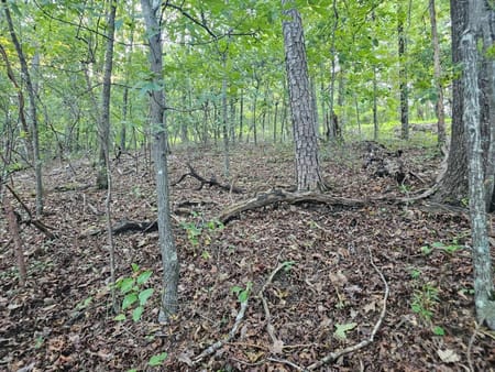 Ranger, GA 30734 Gordon County