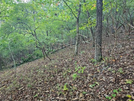 Ranger, GA 30734 Gordon County
