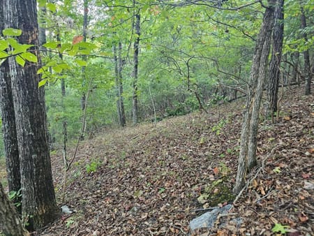 Ranger, GA 30734 Gordon County