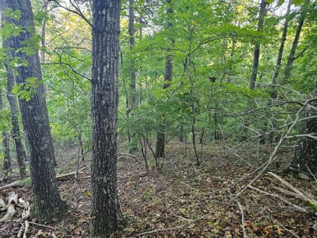 Ranger, GA 30734 Gordon County