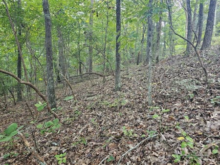 Ranger, GA 30734 Gordon County