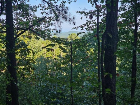 Ranger, GA 30734 Gordon County