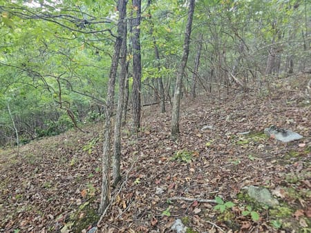 Ranger, GA 30734 Gordon County