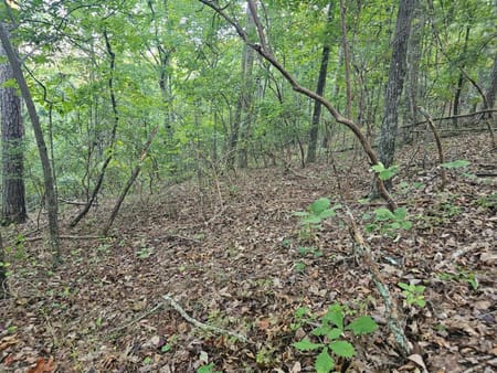 Ranger, GA 30734 Gordon County