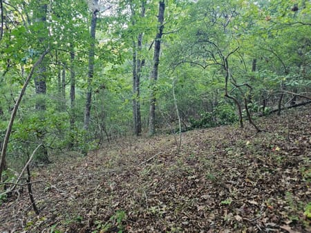 Ranger, GA 30734 Gordon County