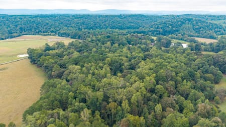 Trion, GA 30753 Walker County