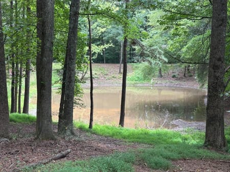 Alpharetta, GA 30004 Cherokee County