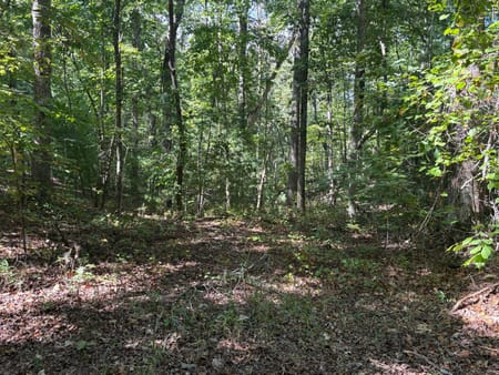 Ellijay, GA 30540 Gilmer County
