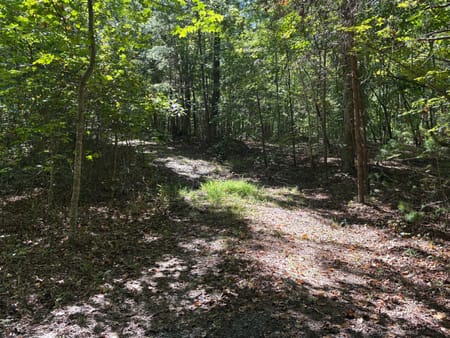Ellijay, GA 30540 Gilmer County