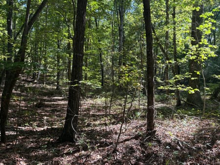 Ellijay, GA 30540 Gilmer County