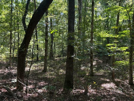 Ellijay, GA 30540 Gilmer County