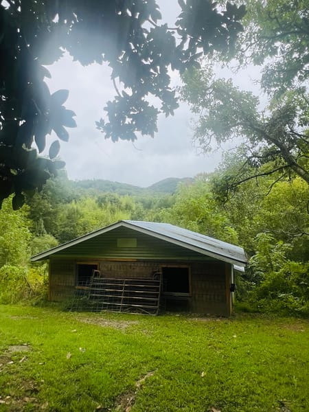 Ellijay, GA 30536 Gilmer County