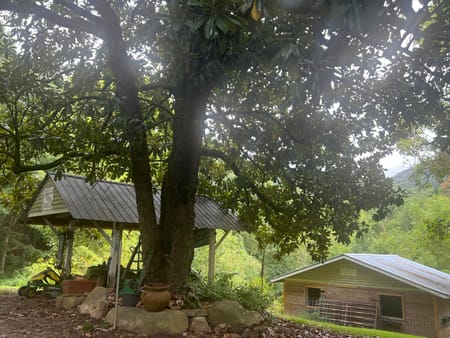 Ellijay, GA 30536 Gilmer County