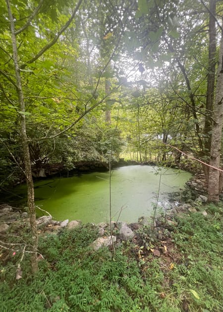 Ellijay, GA 30536 Gilmer County