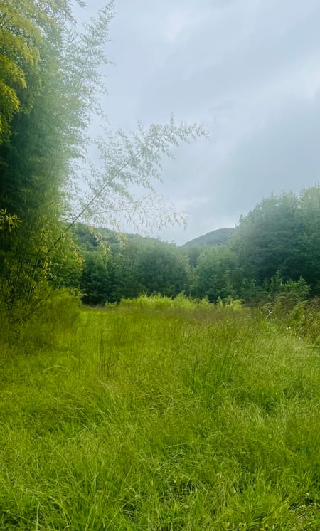 Ellijay, GA 30536 Gilmer County