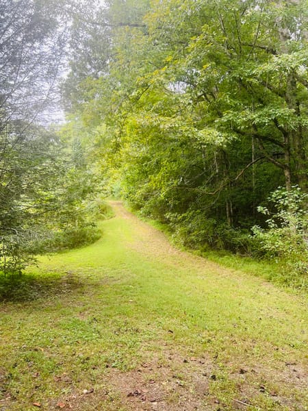 Ellijay, GA 30536 Gilmer County