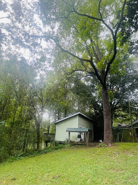 Ellijay, GA 30536 Gilmer County