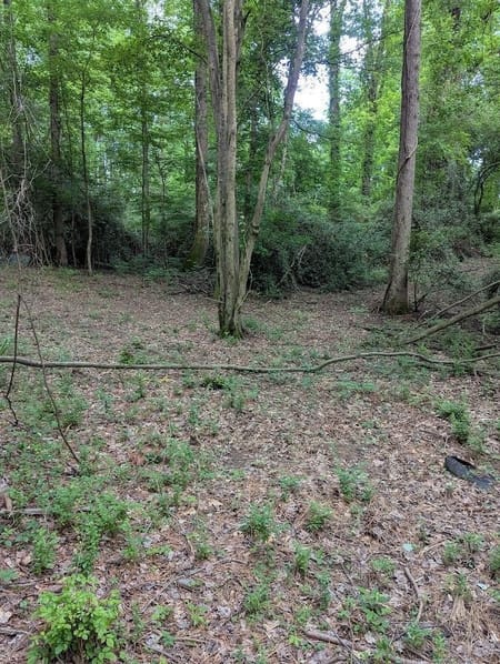 Ellenwood, GA 30294 DeKalb County