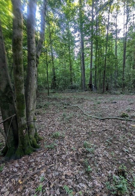 Ellenwood, GA 30294 DeKalb County