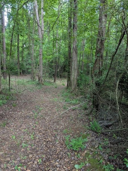 Ellenwood, GA 30294 DeKalb County
