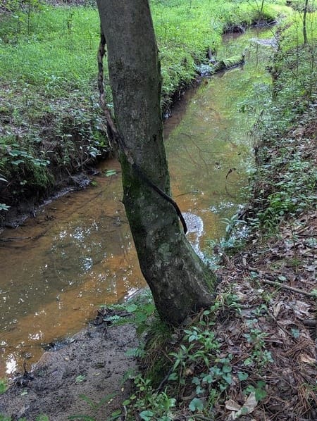 Ellenwood, GA 30294 DeKalb County