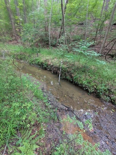 Ellenwood, GA 30294 DeKalb County