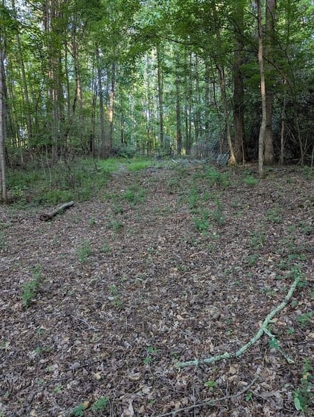 Ellenwood, GA 30294 DeKalb County