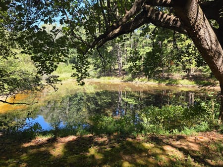 Cornelia, GA 30531 Habersham County