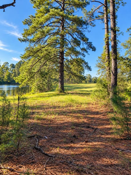Kite, GA 31049 Johnson County