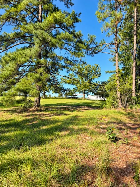 Kite, GA 31049 Johnson County