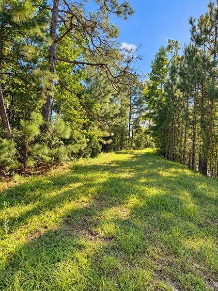 Kite, GA 31049 Johnson County