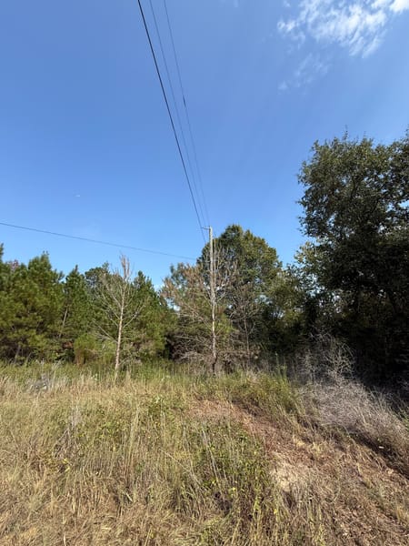 Bartow, GA 30413 Washington County